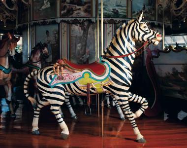 zebra on carousel